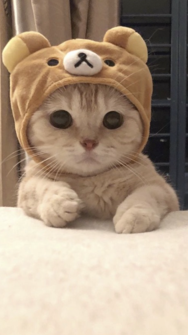 美惺（みさと）